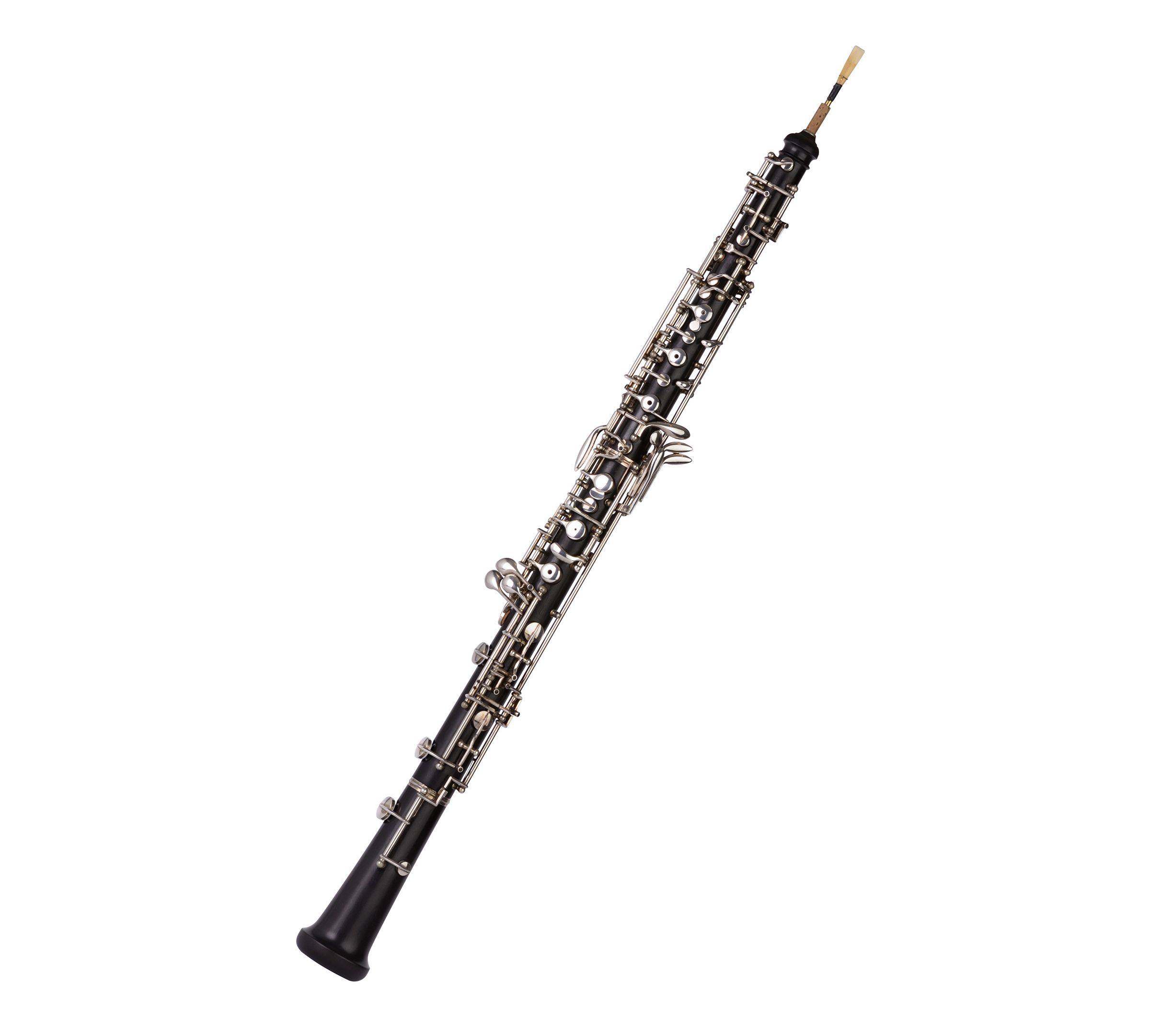Musikschule Aarberg Oboe Musikschule Aarberg Oboe