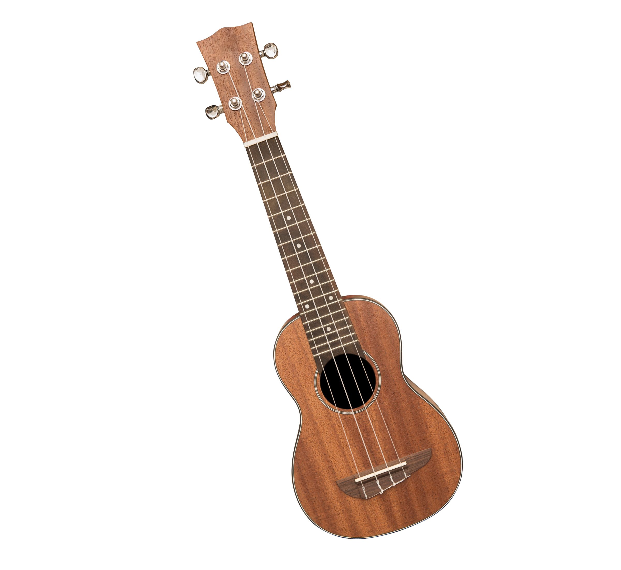 Musikschule Aarberg Ukulele