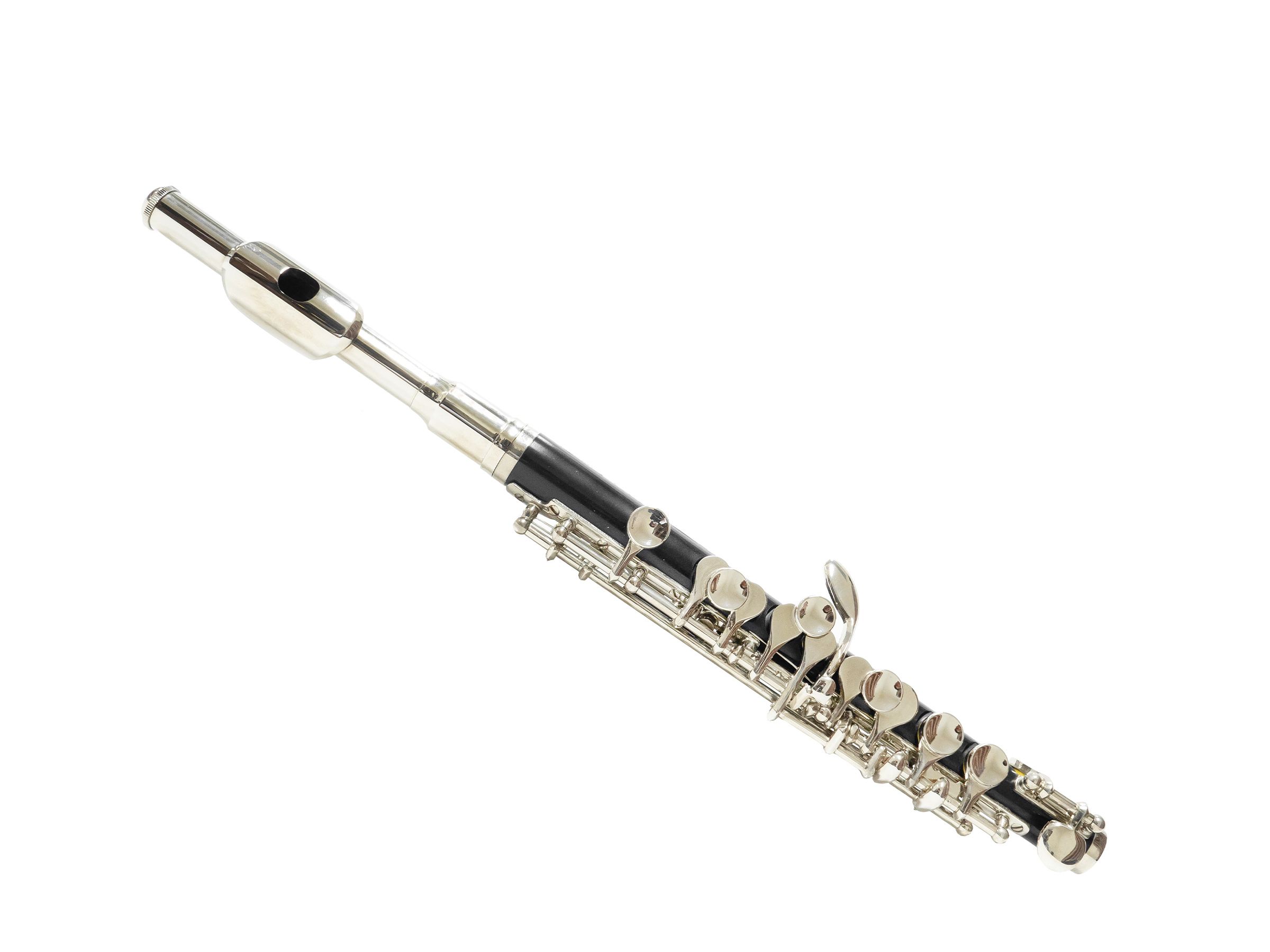 Musikschule Aarberg Piccolo