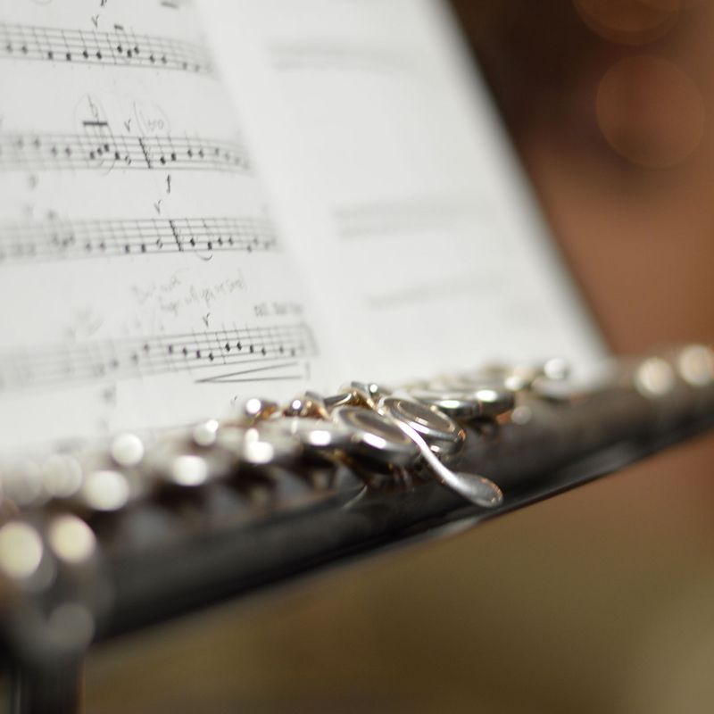 ms aarberg holzblasinstrumente