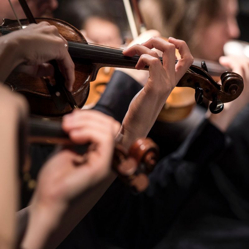 ms aarberg streichinstrumente