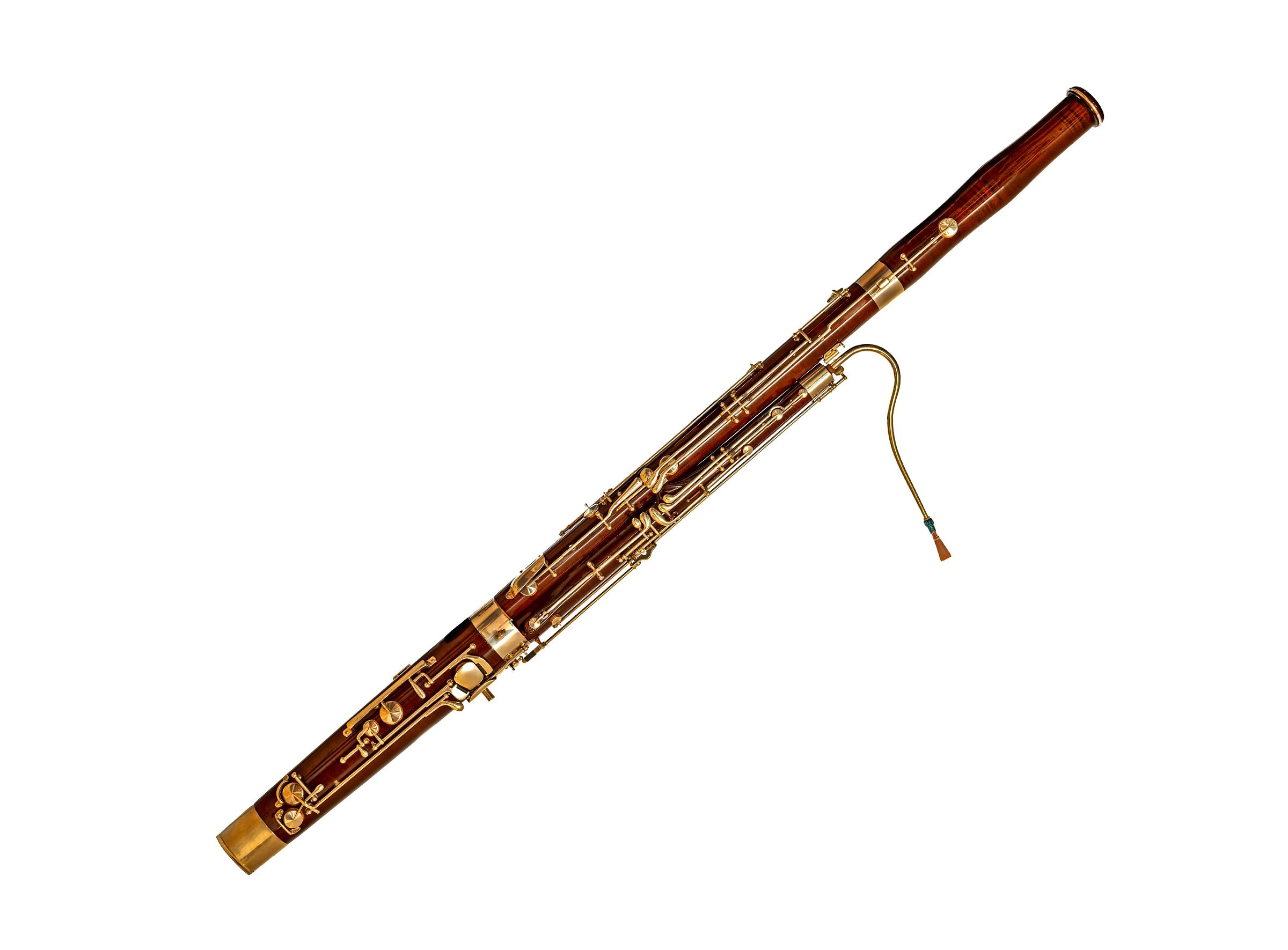 Musikschule Aarberg Fagott